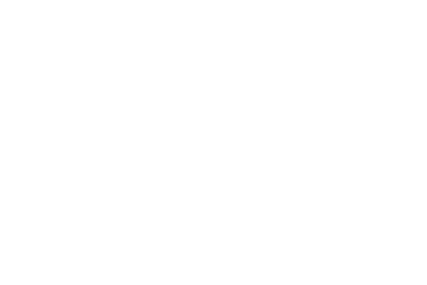 filigrane-logo-blanc